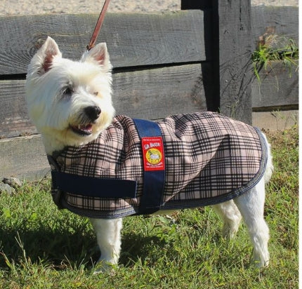 5/A Baker Dog Blanket