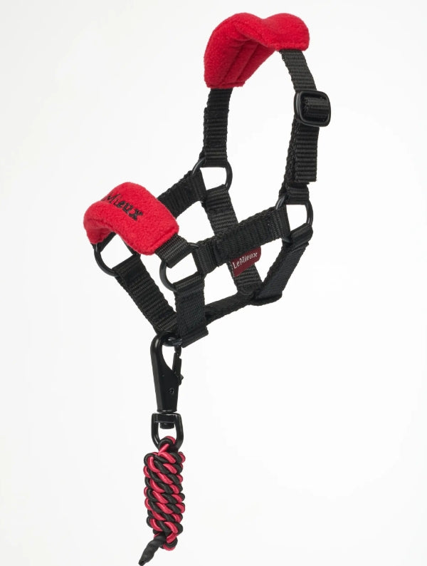 LeMieux Toy Pony Headcollor &amp; Leadrope
