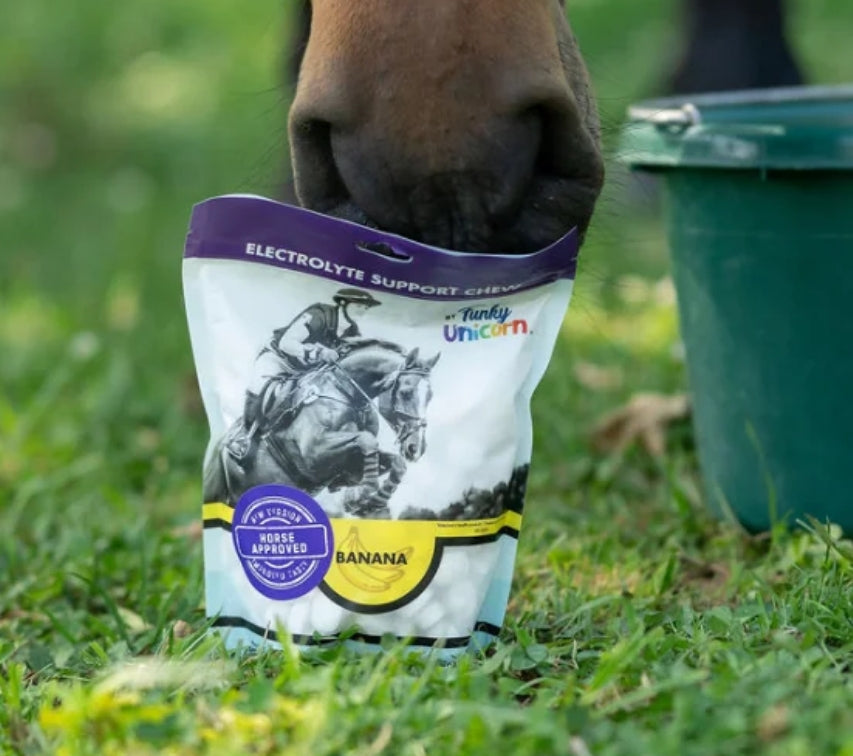 Funky Unicorn Electrolyte Support Chews