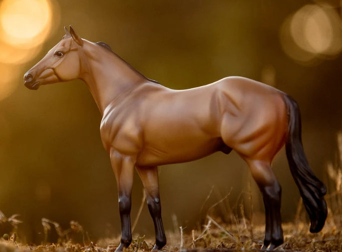 The Ideal Series Buckskin