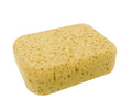 Synthetic Sponge